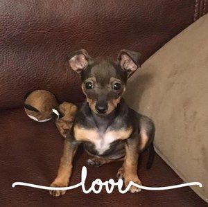 Meet your Posher, Judy